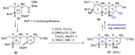 Scheme 18