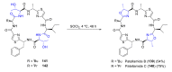 Scheme 38