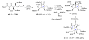 Scheme 12