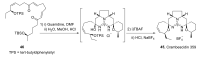 Scheme 13