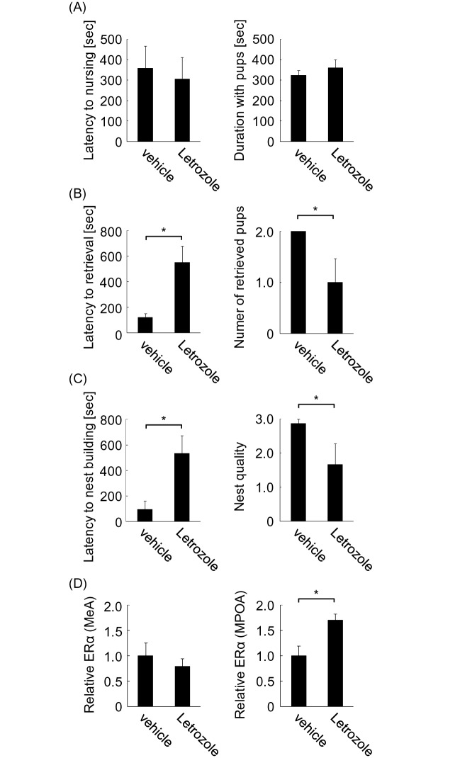 Fig 5