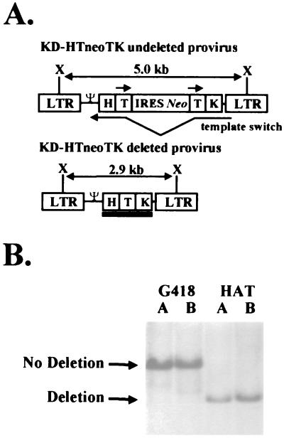 FIG. 1