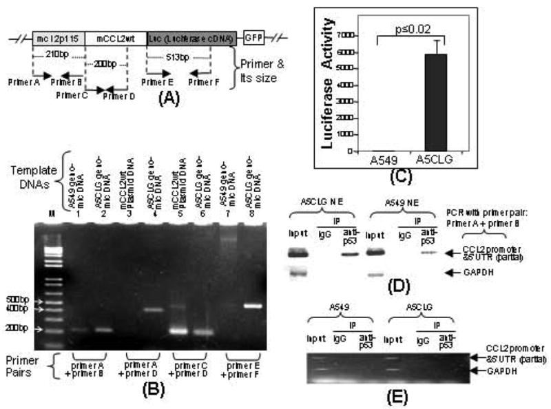 Fig. (4)