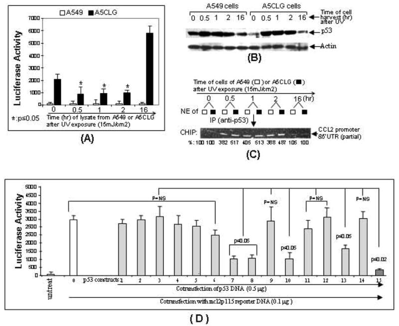 Fig. (5)