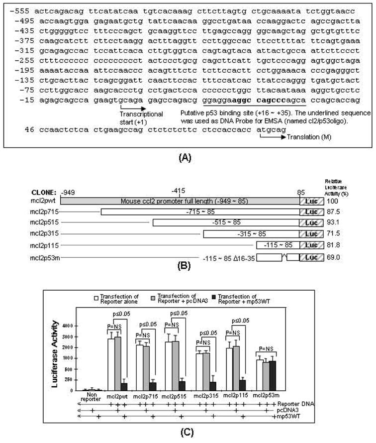 Fig. (2)