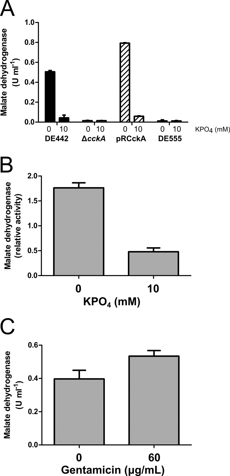 Fig 9