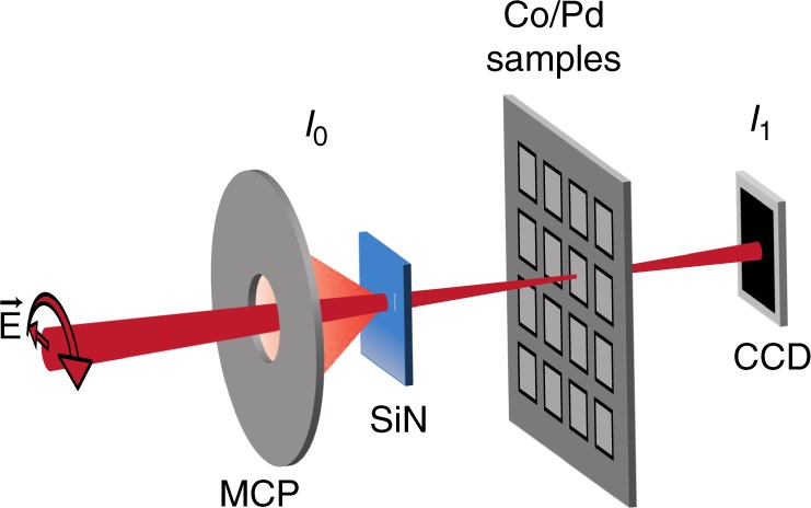 Fig. 1