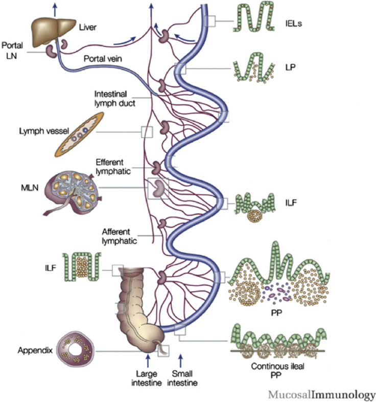 Fig. 11