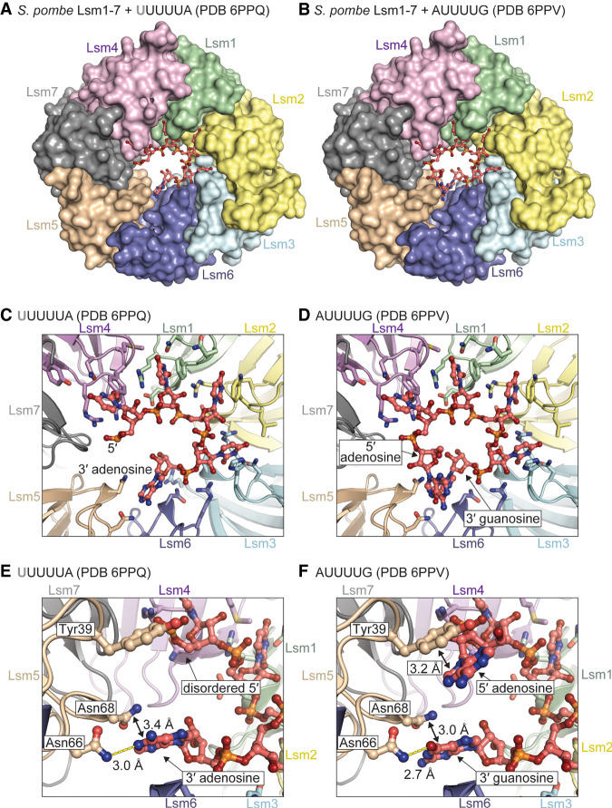 FIGURE 4.