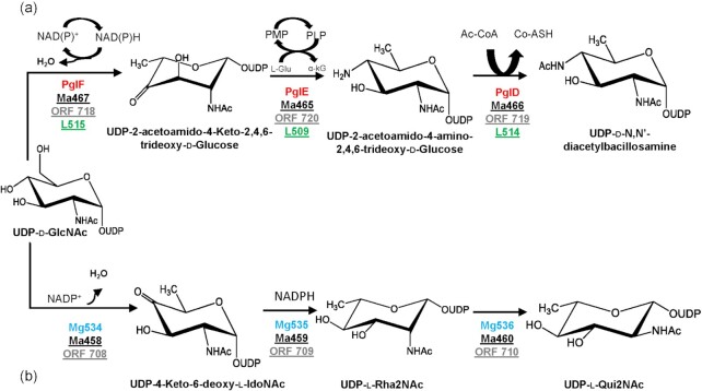 Figure 5.