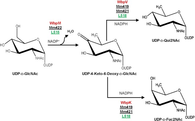 Figure 6.