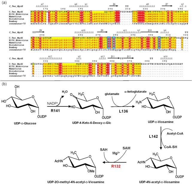 Figure 4.