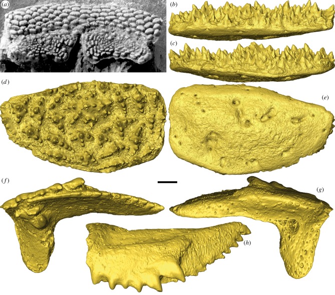 Figure 1.