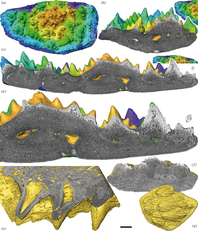 Figure 2.