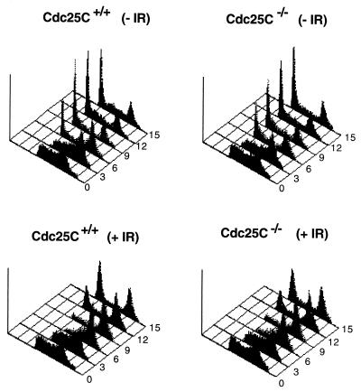 FIG. 6