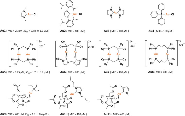 FIGURE 1