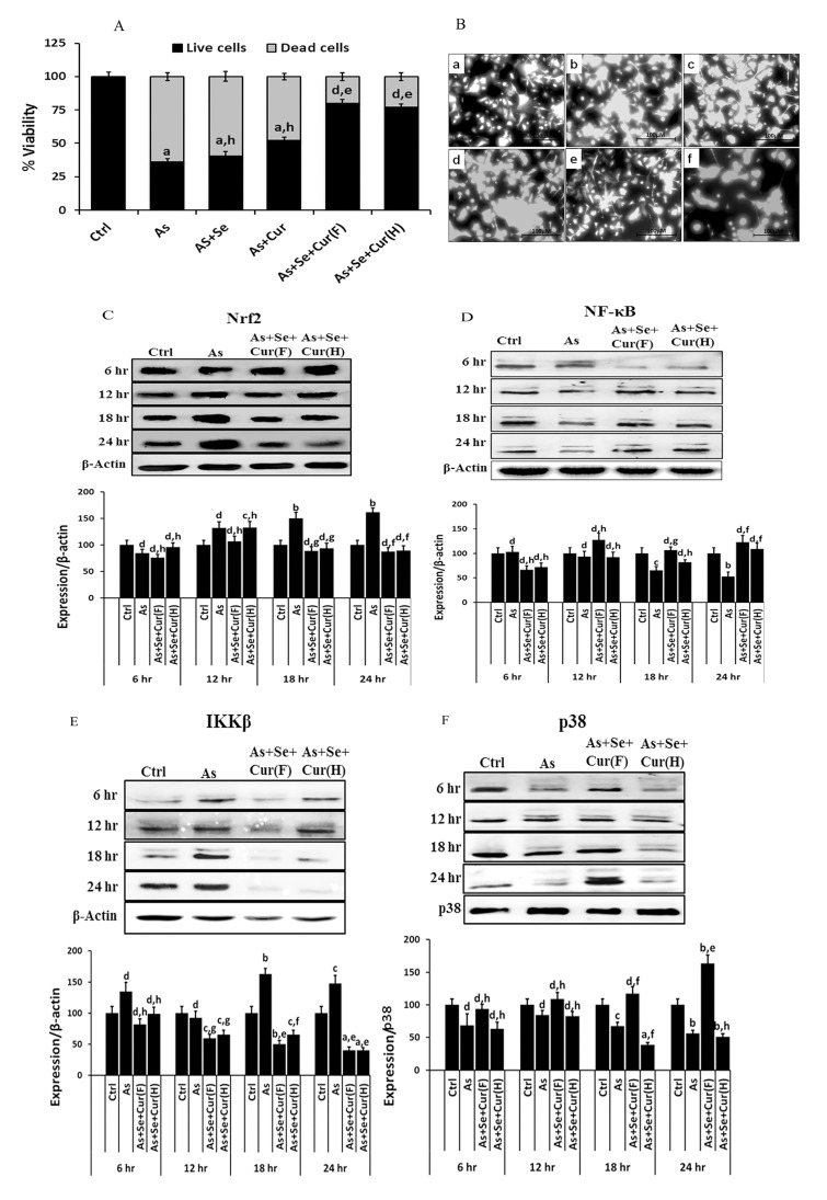 Fig 5