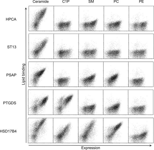 Fig. 4.