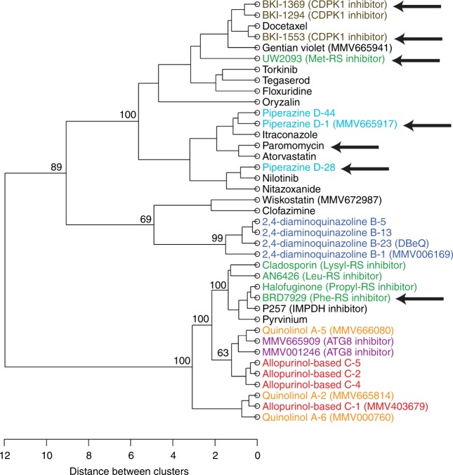 Fig. 7