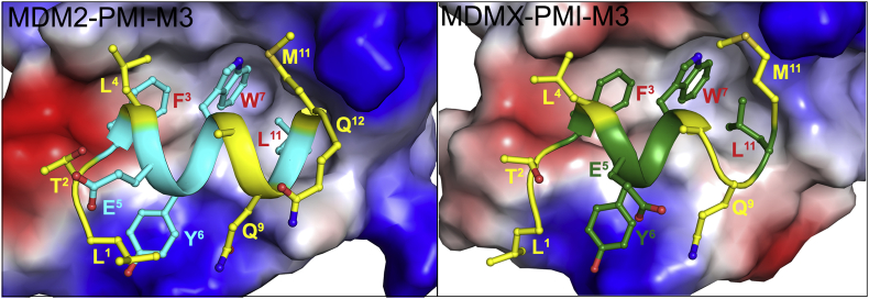 Figure 5