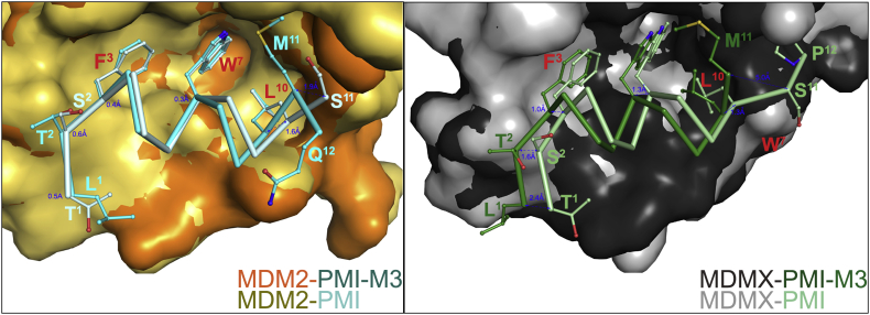 Figure 7