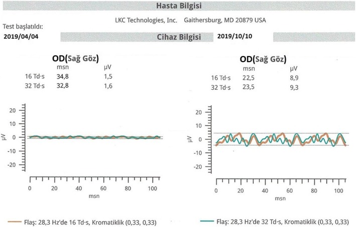 Fig. 7