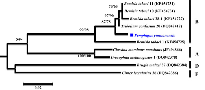 Figure 5