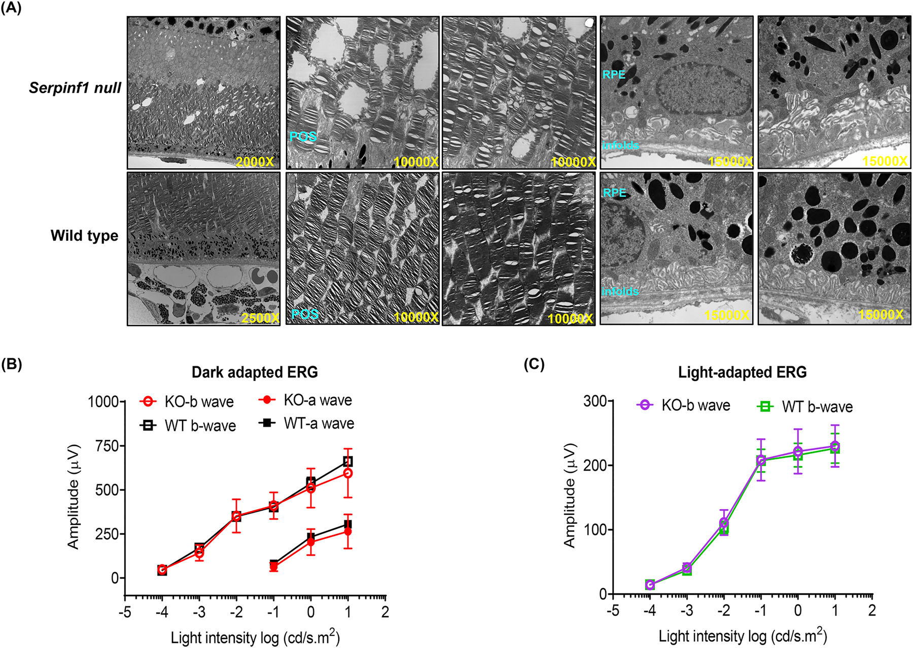 Fig 3: