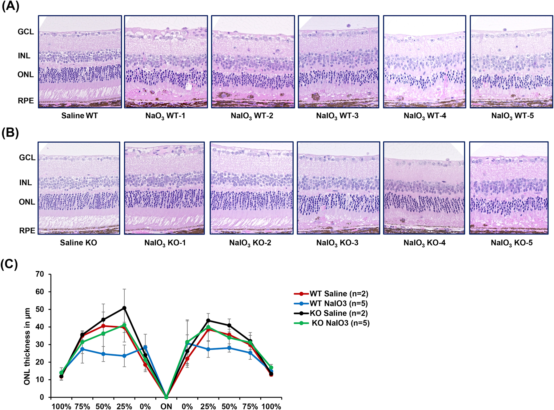 Fig 5: