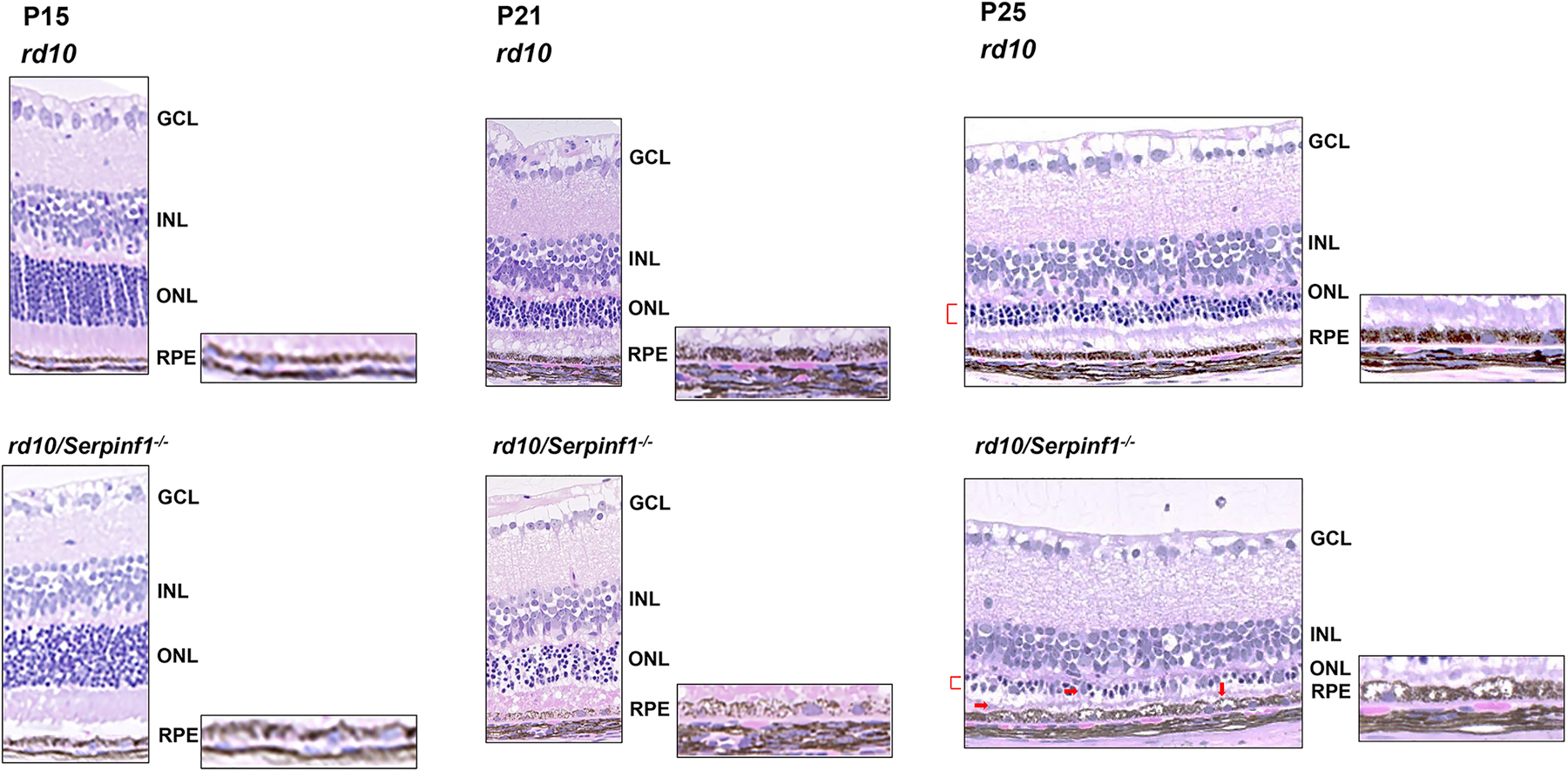 Fig 6: