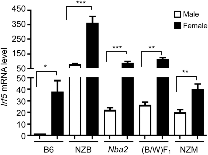 Figure 1