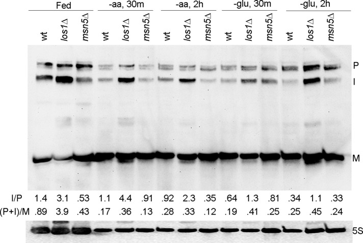 FIGURE 1: