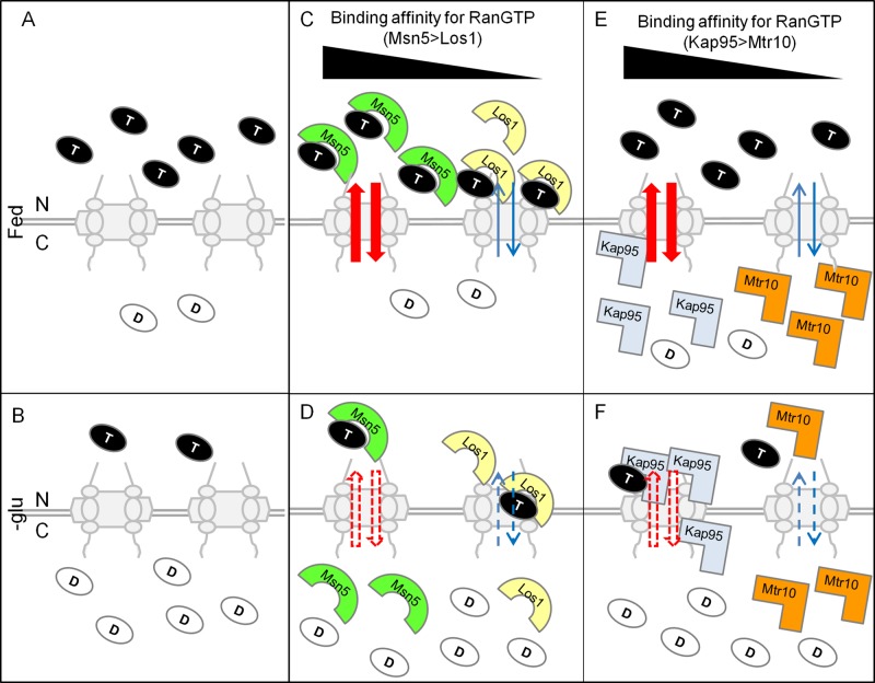 FIGURE 7: