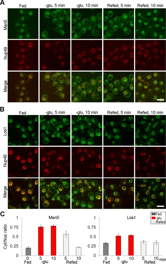 FIGURE 3: