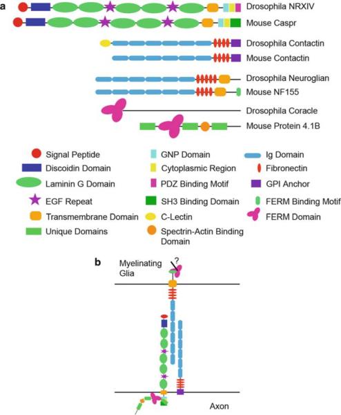 Fig. 3