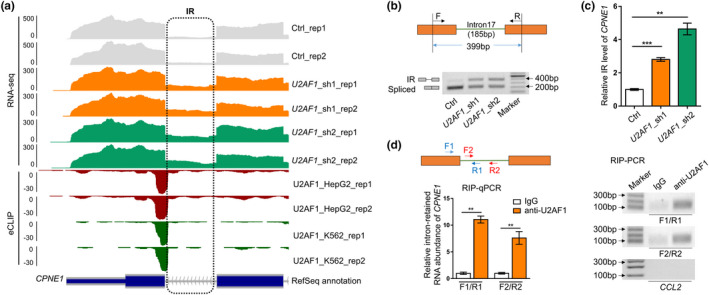 FIGURE 3