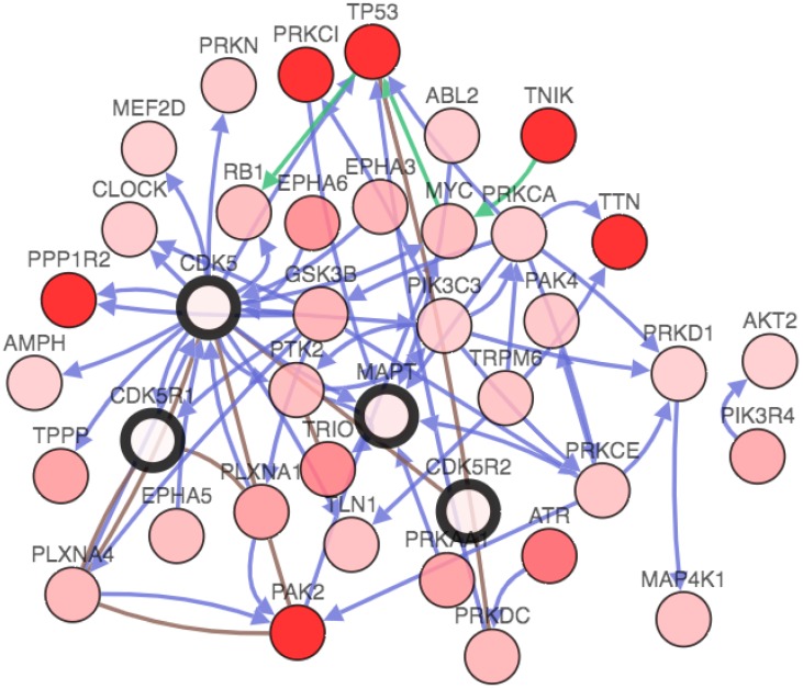 Figure 6