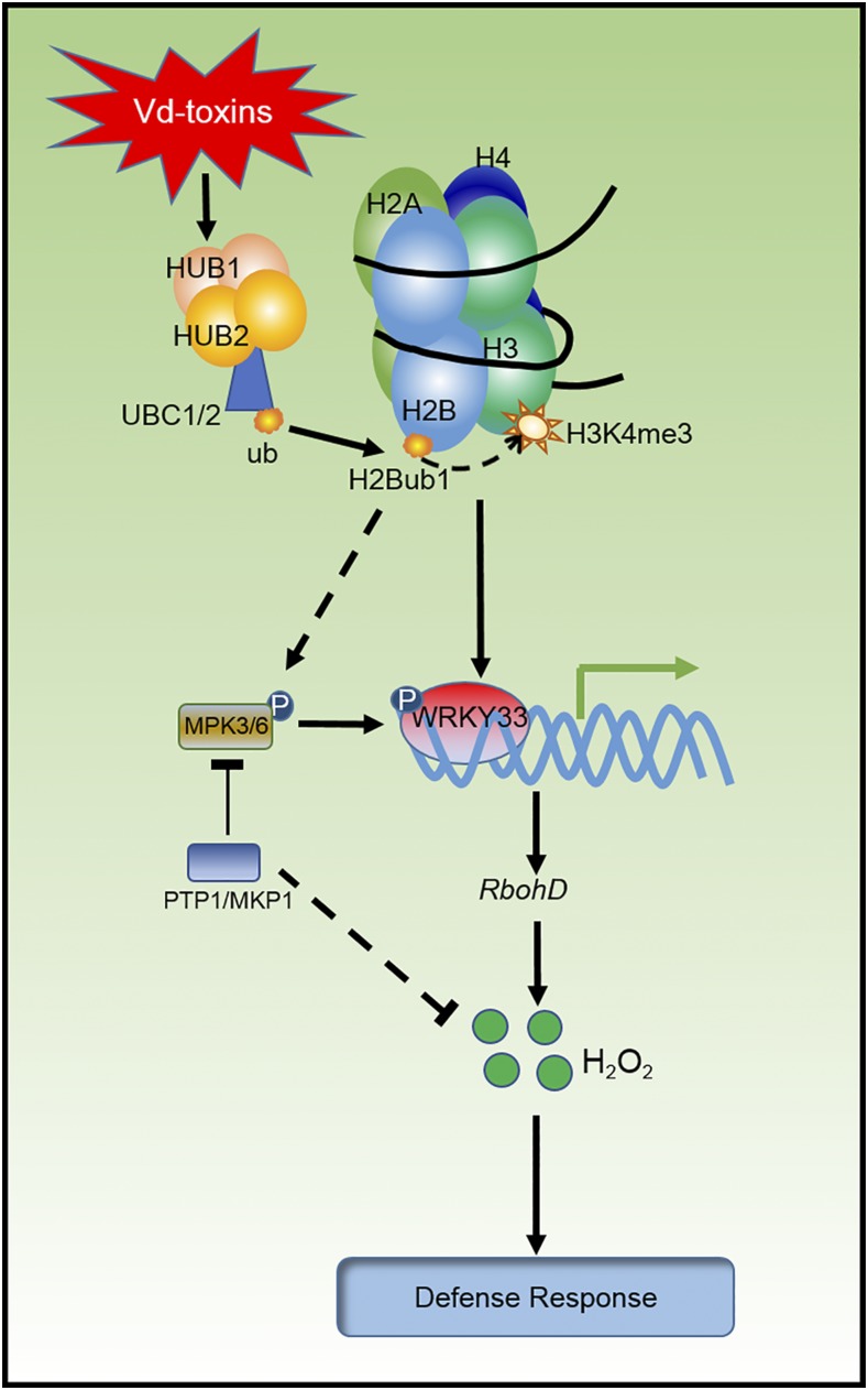 Figure 9.