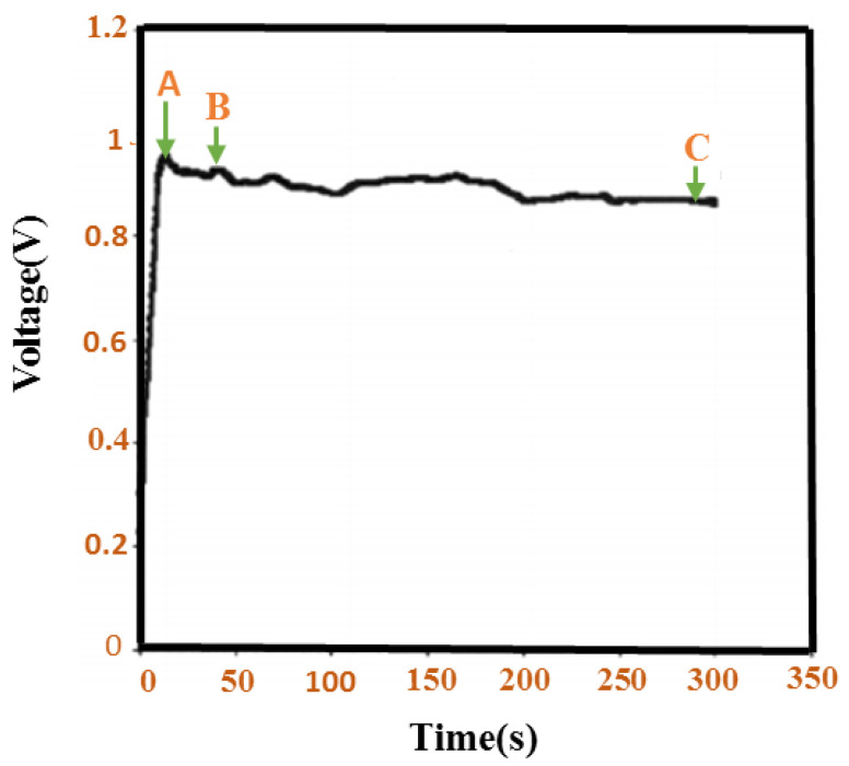 Figure 17