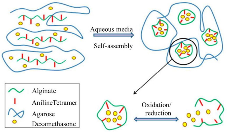 Figure 30