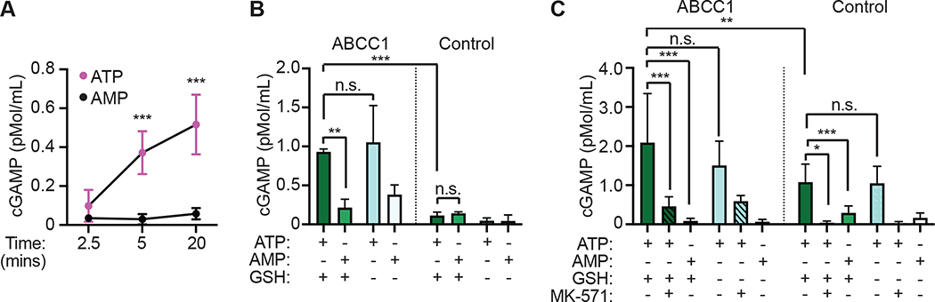 Figure 5.