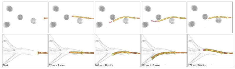 Fig. 12