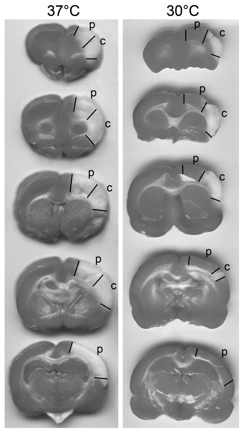 Fig.1