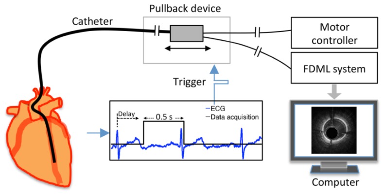 Fig. 2