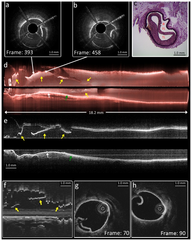 Fig. 7