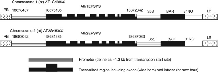 PS-4654-FIG-0001-b