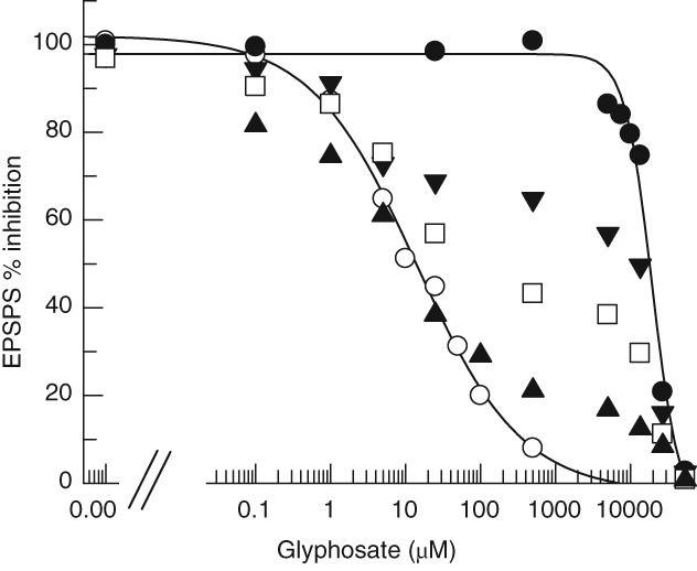 PS-4654-FIG-0002-b