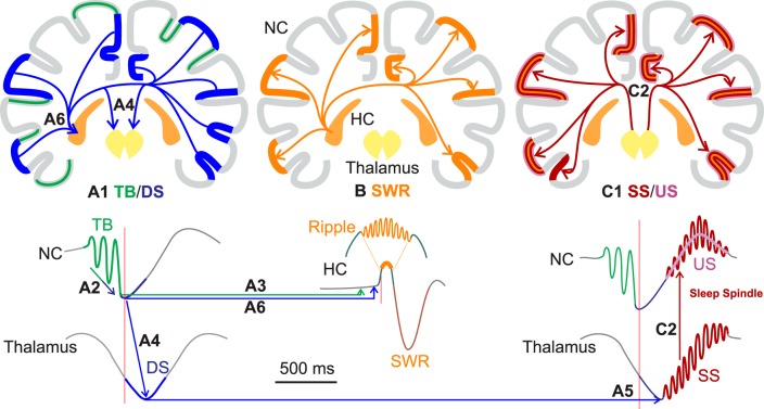 Figure 6.