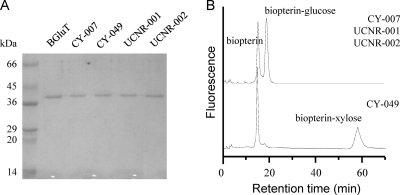 FIG. 3.