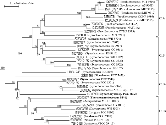 FIG. 1.